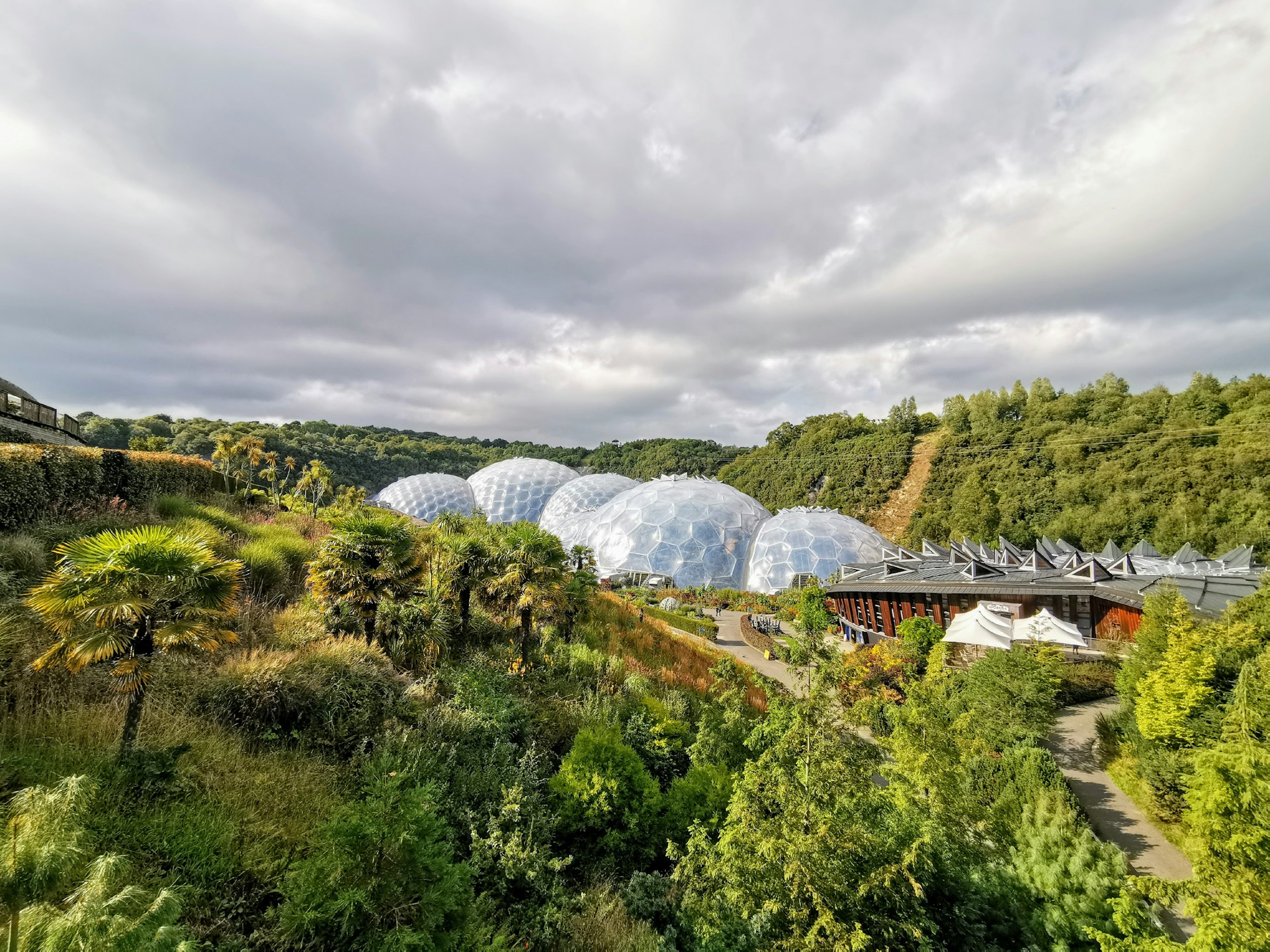 eden project zip line