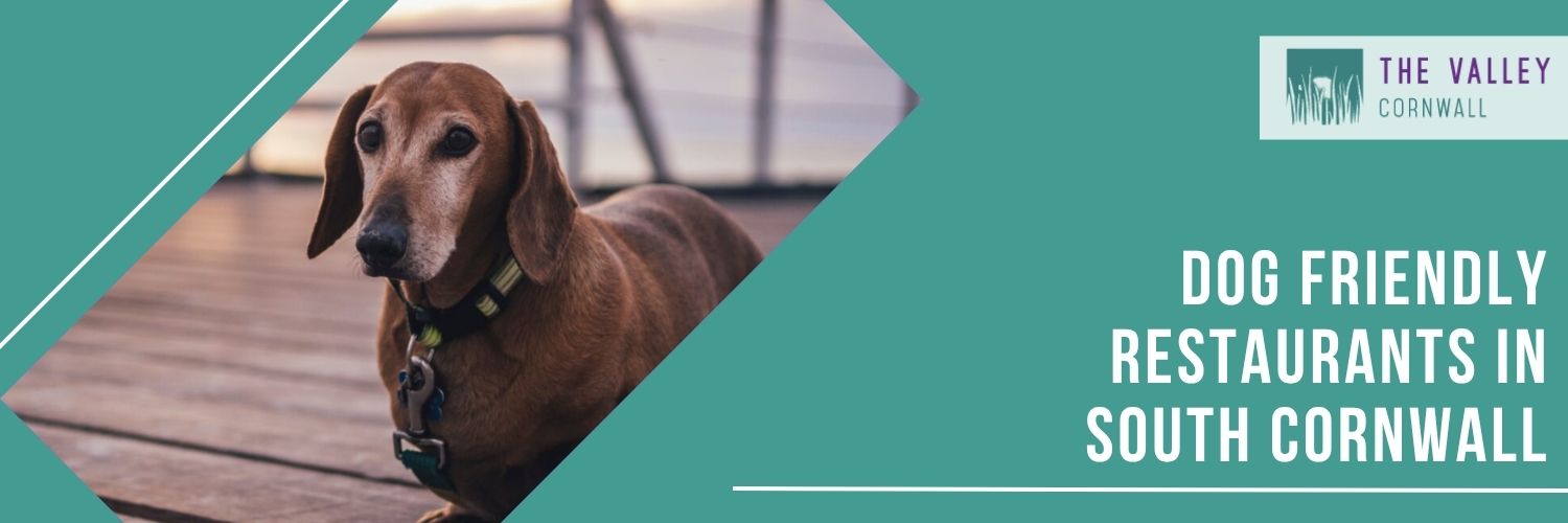 Dog-Friendly Restaurants in South Cornwall by The Valley