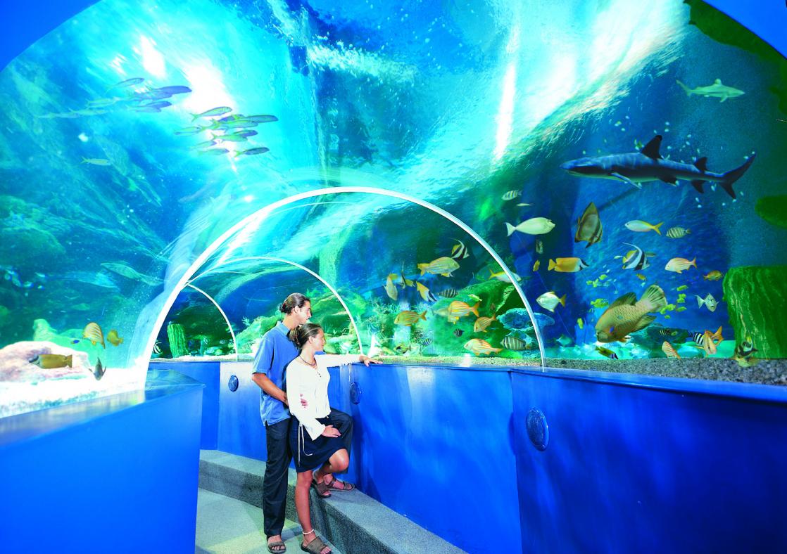 Blue Reef Aquarium