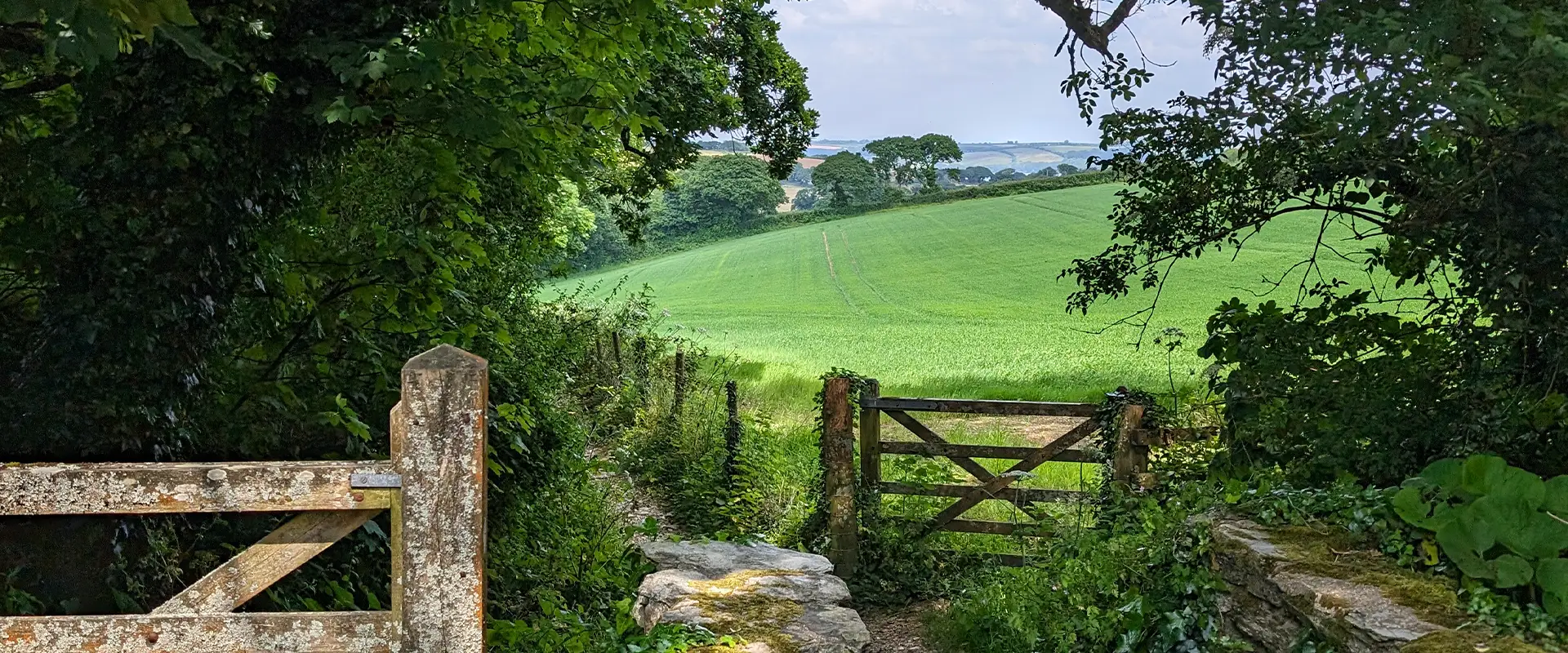 sustainability banner