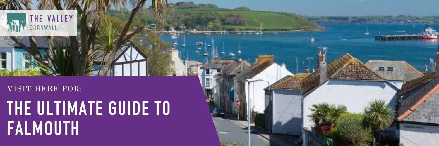 The Ultimate Guide to Falmouth The Valley