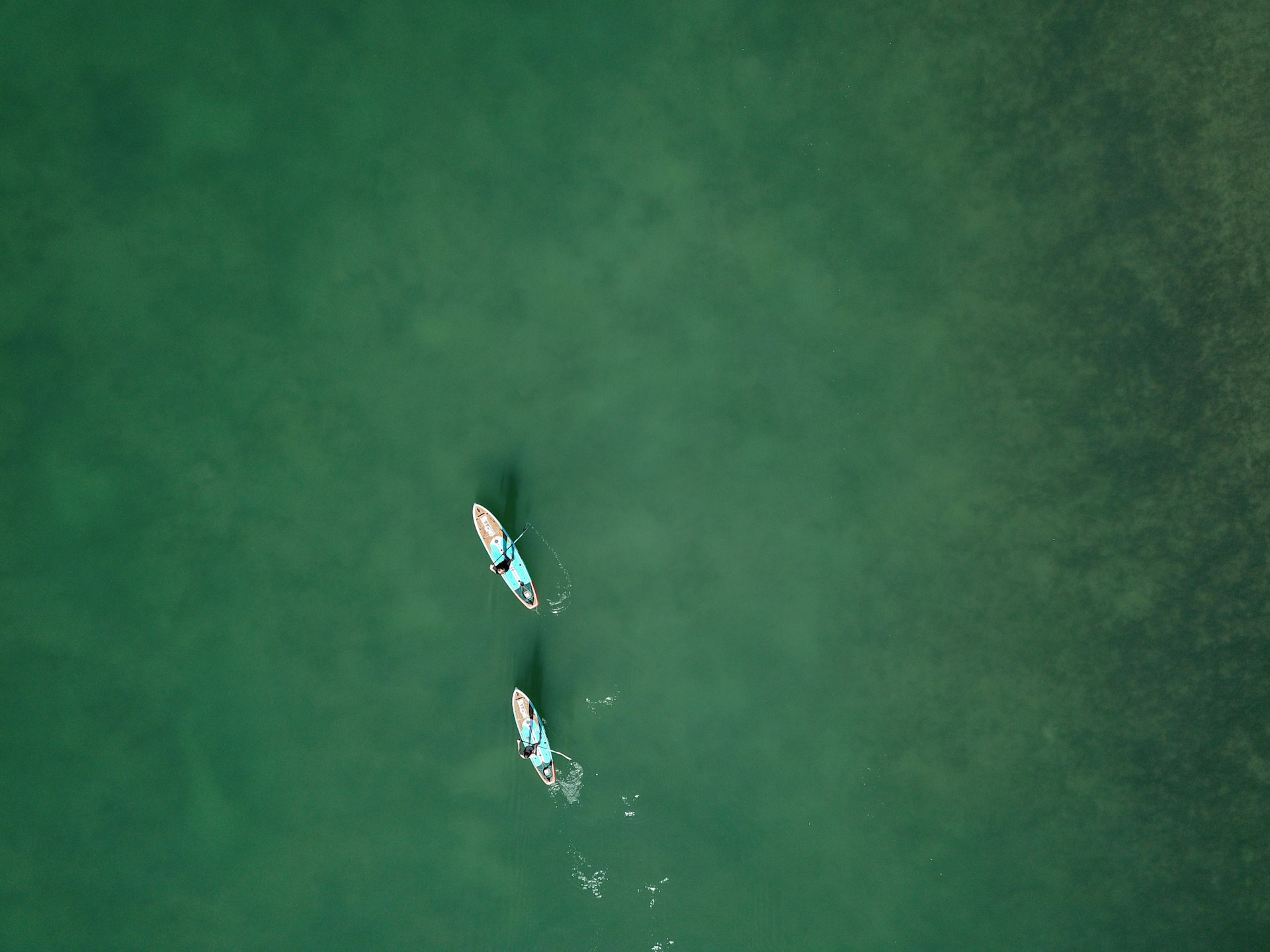 People paddleboarding in Cornwall