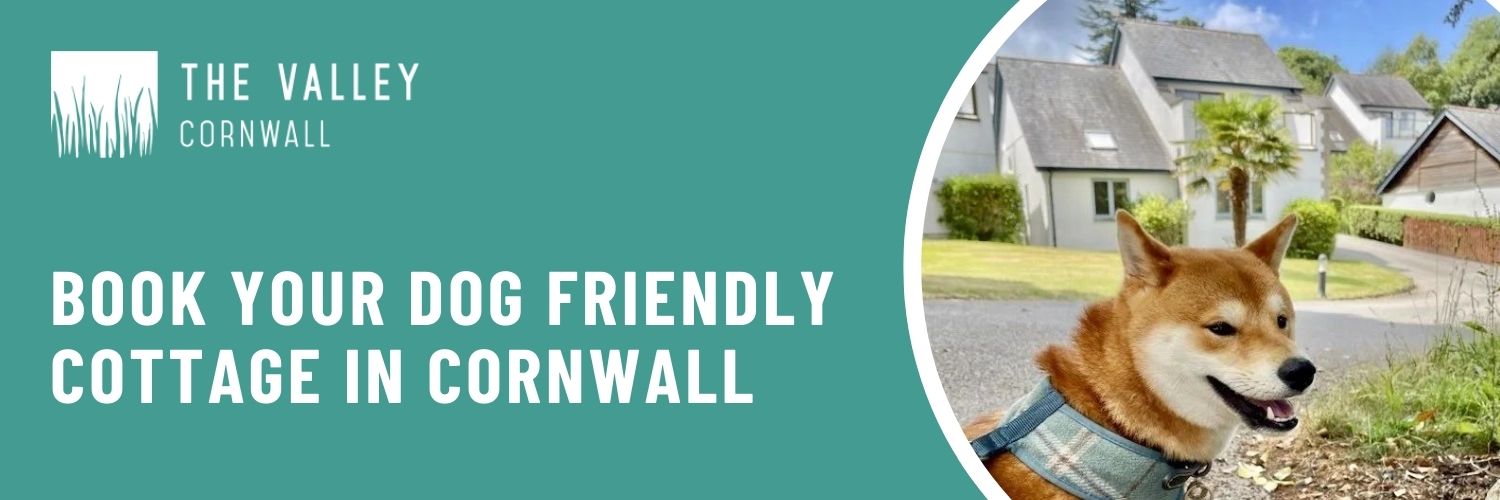 book your dog friendly cottage in cornwall
