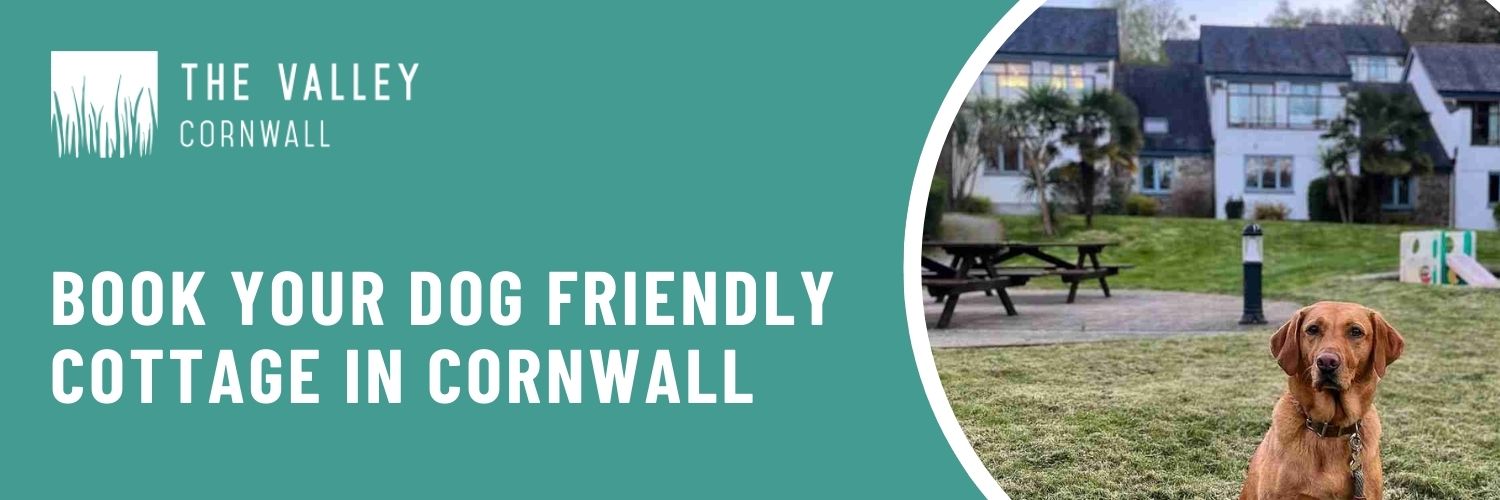 book dog friendly cottage cornwall