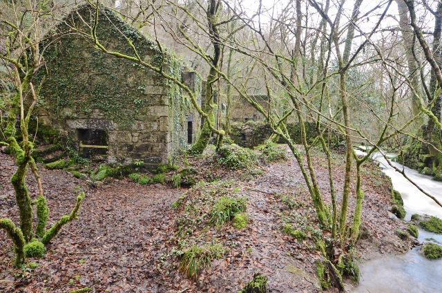 Kennall Vale geograph.org.uk 3826415