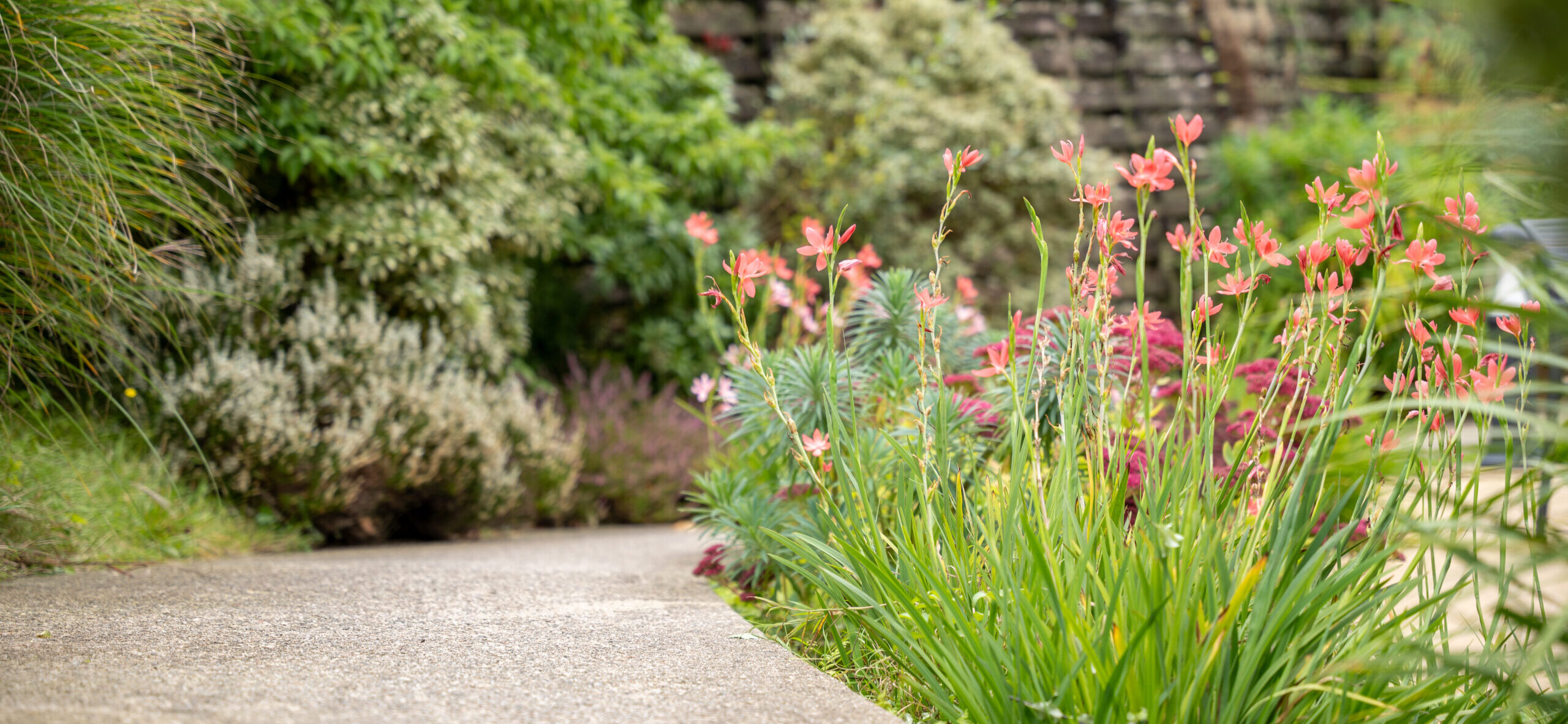 the valley cottages peaceful site grass woodland gardens footpaths (1)