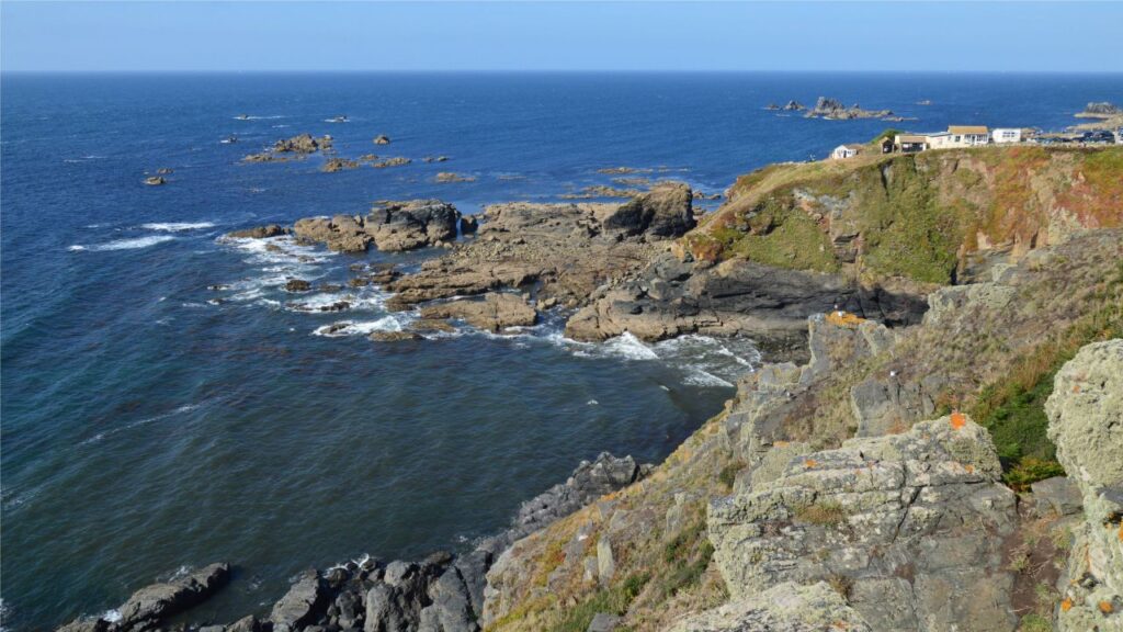 Lizard Point