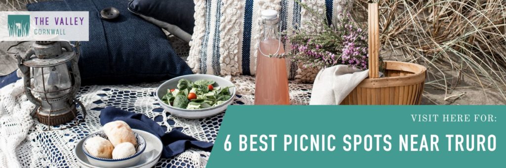 visit here for the 6 best picnic spots near truro