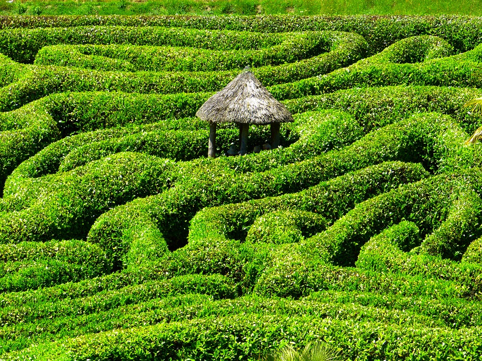 Glendurgan maze in Cornwall