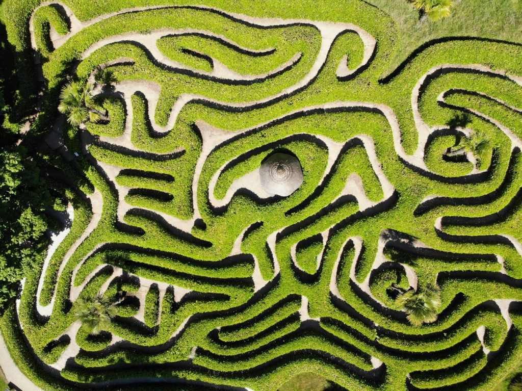 The maze at Glendurgan Garden

