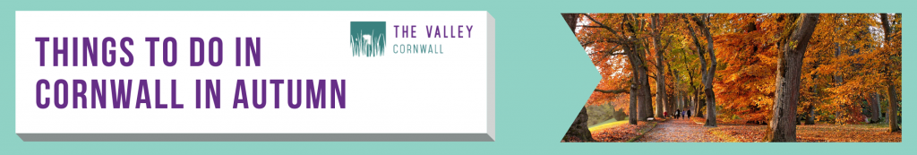 Things to do in Cornwall in autumn from The Valley