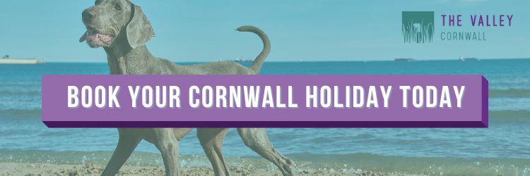 Book your Cornwall holiday today