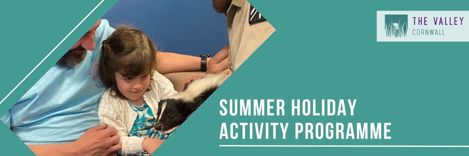 summer holiday the valley cornwall free activities child friendly holiday uk