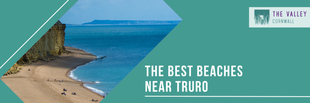 The best beaches near truro