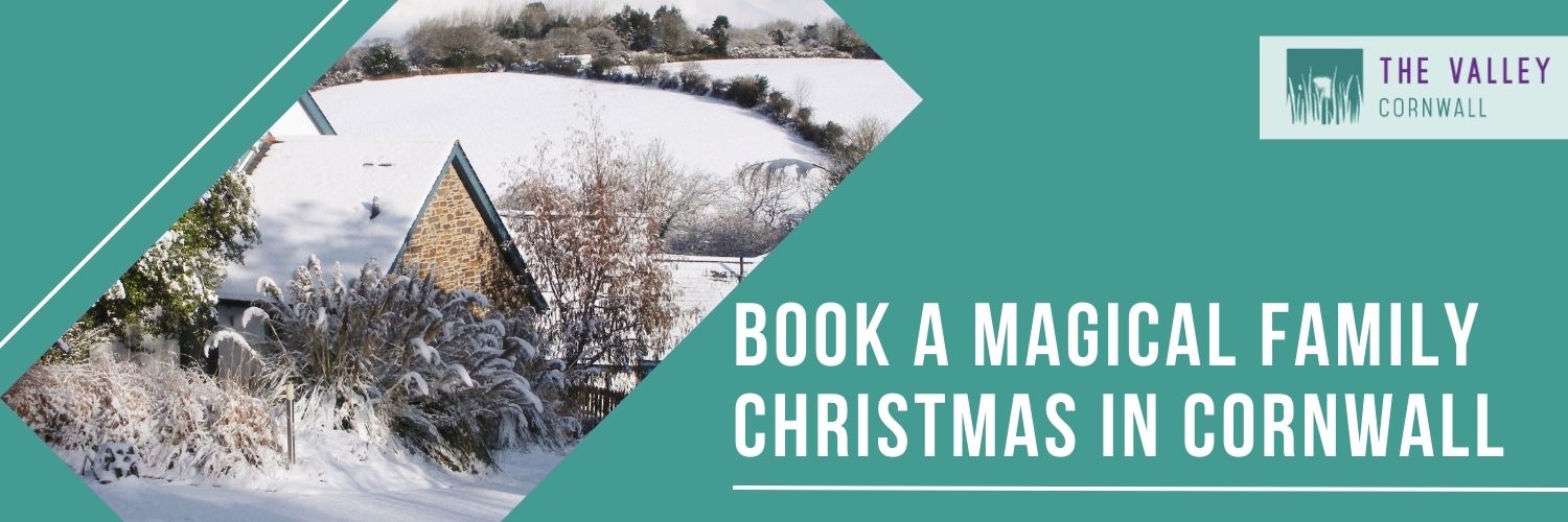 Spend an enchanting, magical Christmas in Cornwall as a family