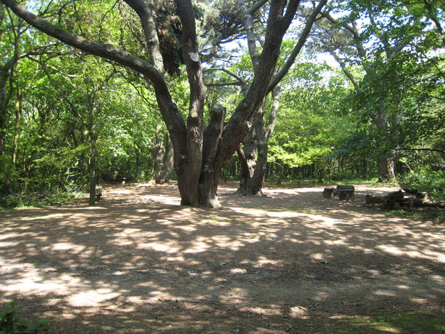 Tehidy Country Park